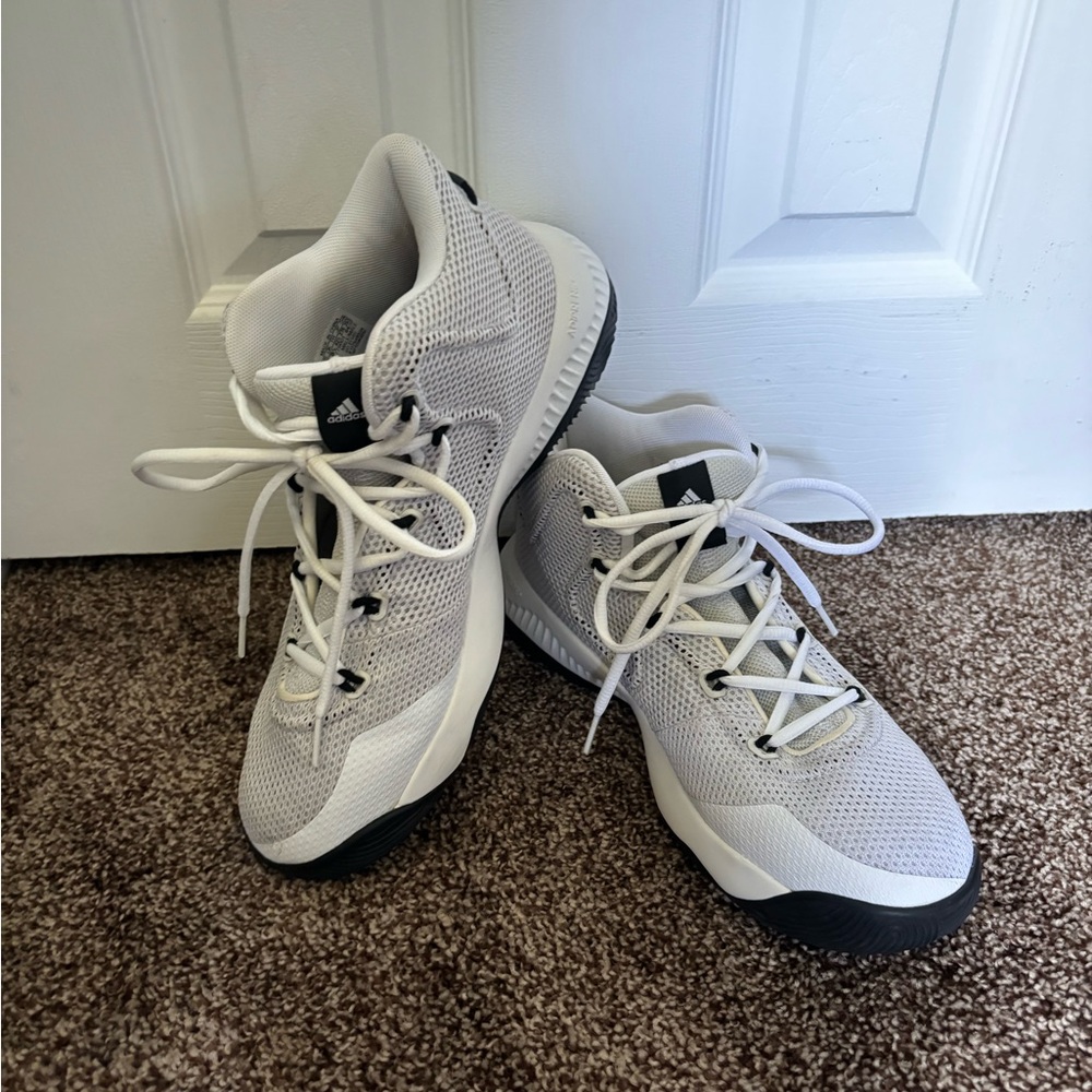 Men’s Adidas Crazy Explosive TD sneakers
